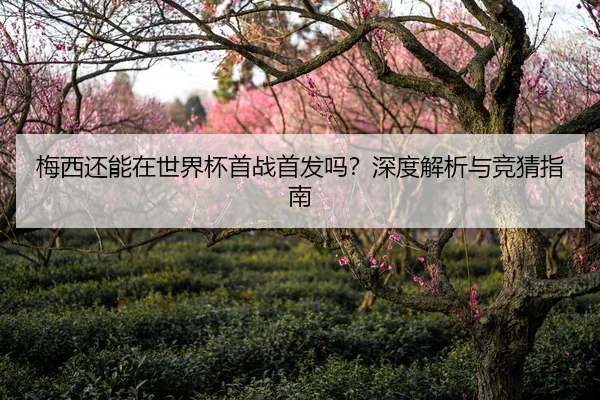 梅西还能在世界杯首战首发吗？深度解析与竞猜指南